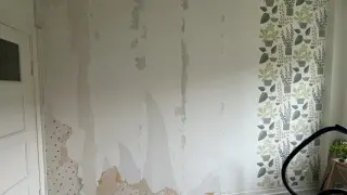 Väggen är delvis avskalad, en del tapet sitter kvar. En ny tapet med gröna växter är på väg att måla på tapet eller riva.
