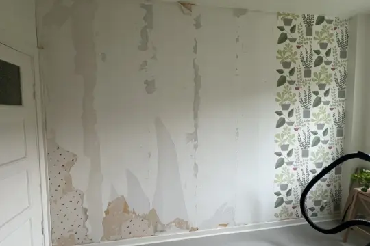 Väggen är delvis avskalad, en del tapet sitter kvar. En ny tapet med gröna växter är på väg att måla på tapet eller riva.